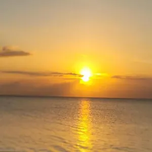 https://sunset-landing-inn.hotelsnegriljamaica.com